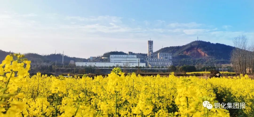 bat365(中国)在线平台官方网站-登录入口