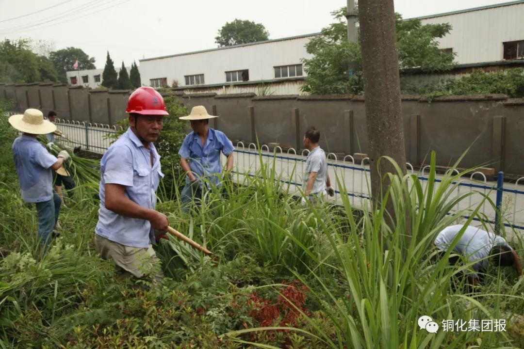 bat365(中国)在线平台官方网站-登录入口