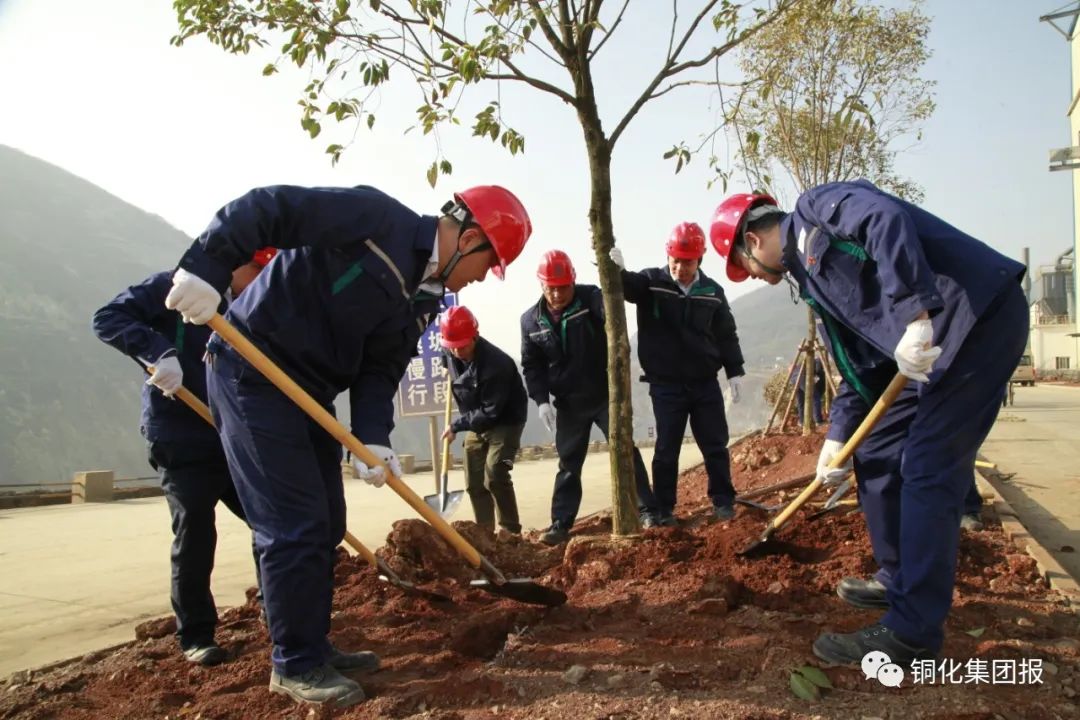 bat365(中国)在线平台官方网站-登录入口