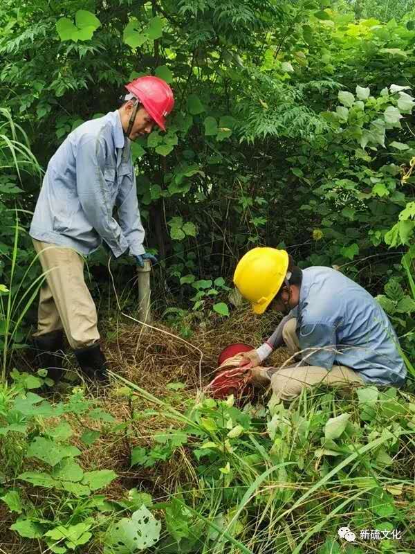 bat365(中国)在线平台官方网站-登录入口